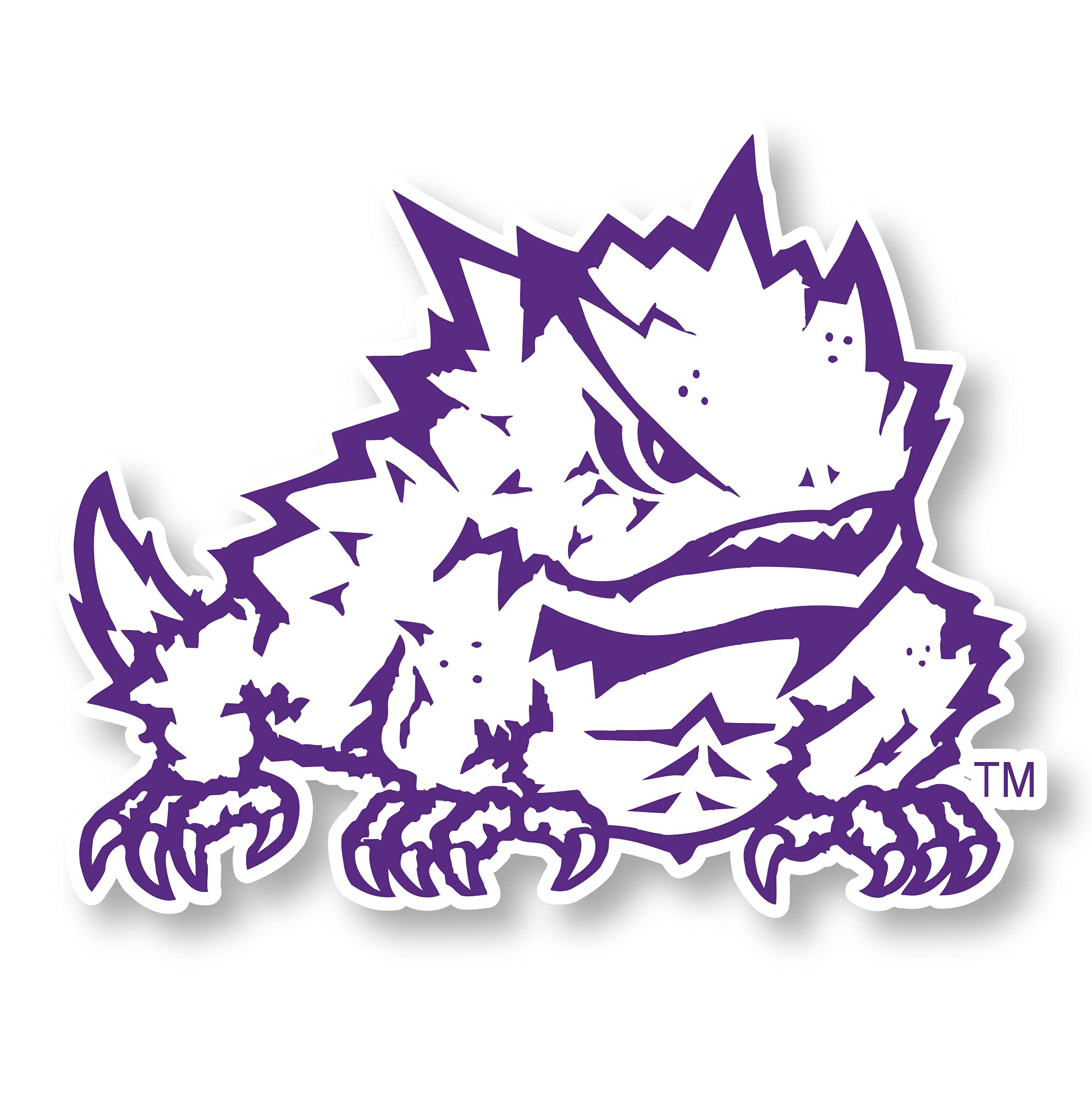 TCU Student